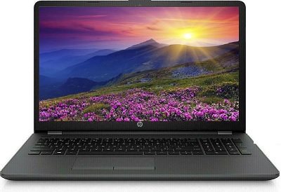 HP 250 g8
